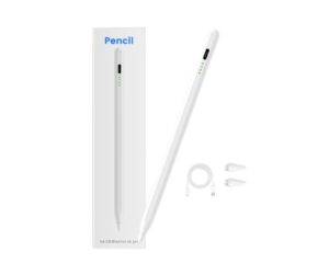 Stylo digigtal