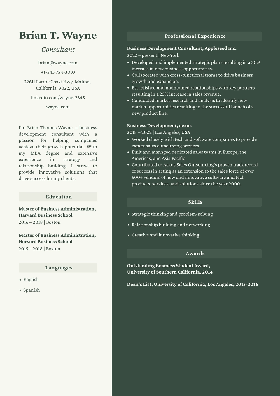 Modèle de CV 15