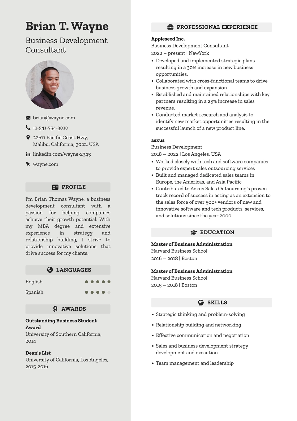 Modèle de CV 17